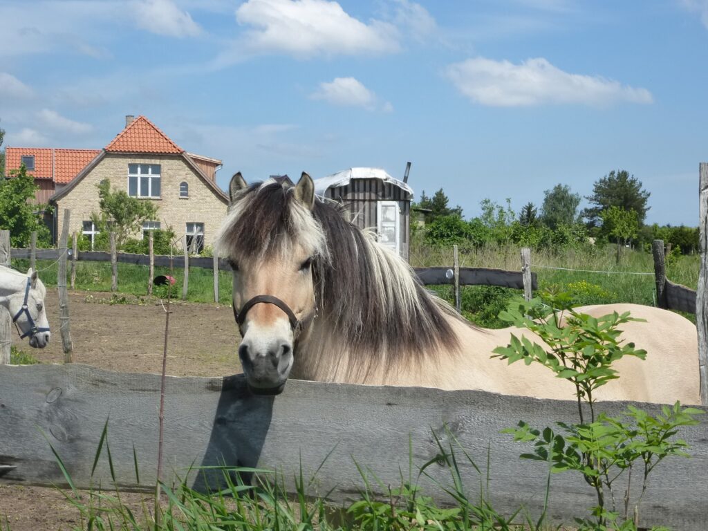 Permakulturhof Stein-Häger, Foto: tmu GmbH