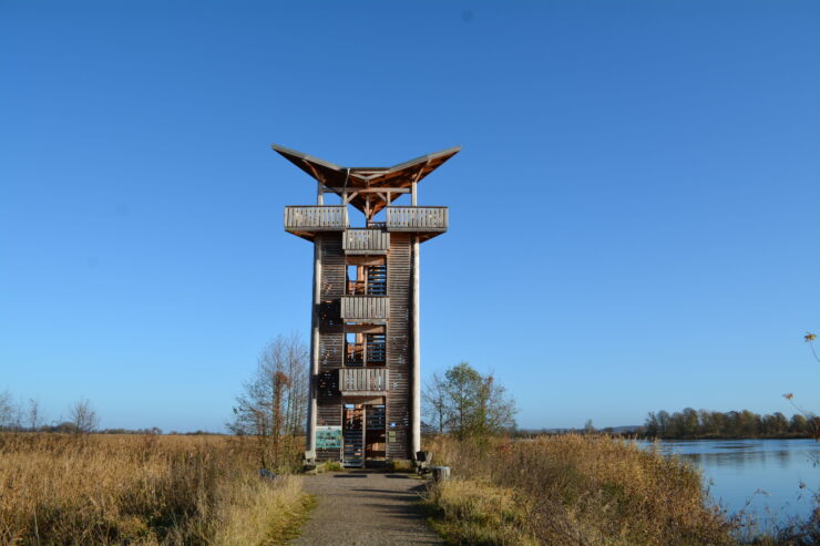 Kranichturm in Mescherin, Foto: Anja Warning, Lizenz: tmu GmbH