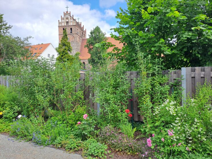 Bürgergarten mit Blick auf die Kirche, Foto: Janina Warnei, Lizenz: Tourismusverein Angermünde e.V.