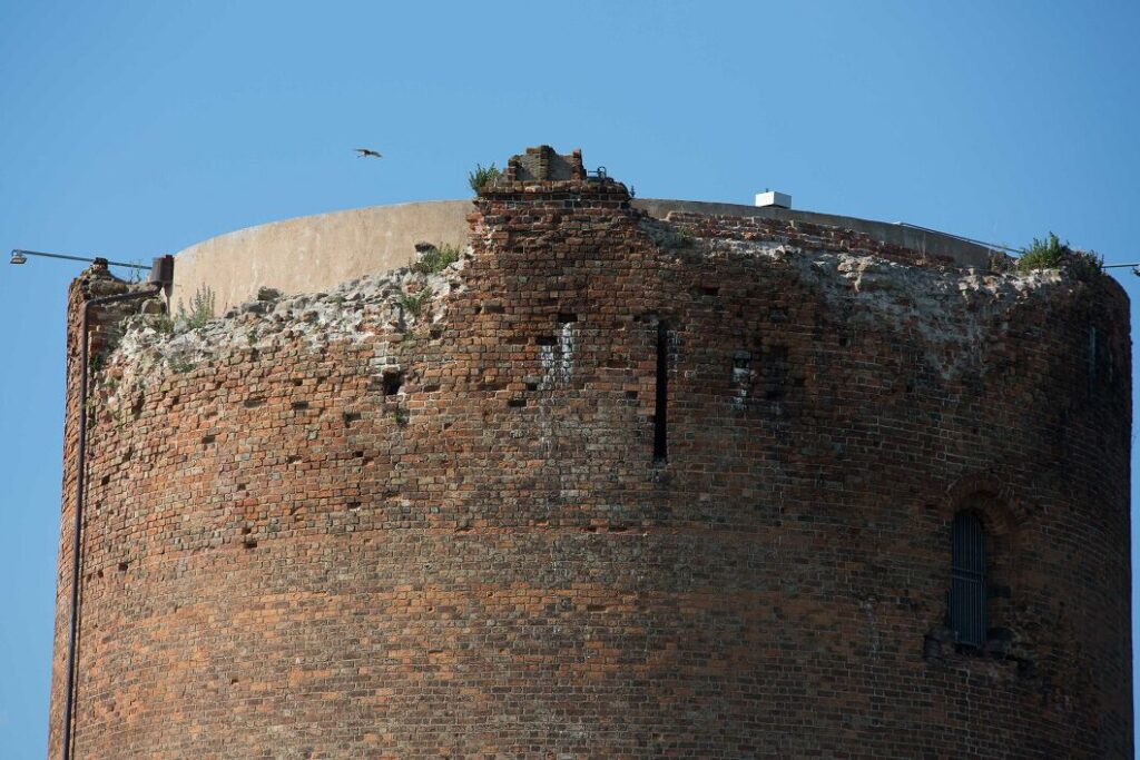 Stolper Turm_Dicker Bergfried mit Turmfalke_Stolpe, Angermünde_tva_Foto_A.Winter, Foto: Andreas Winter, Lizenz: Tourismusverein Angermünde e.V.